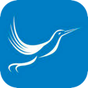 Fengniao Free VPN, 小巧的鸟类免费VPN